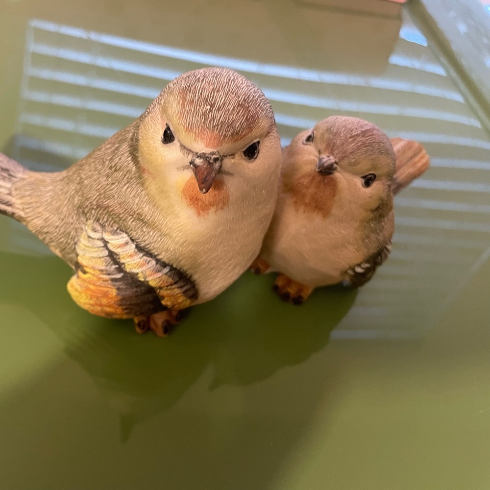 Birds decorating